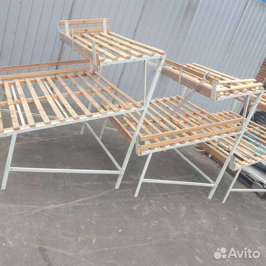 Ветеринар для рынка