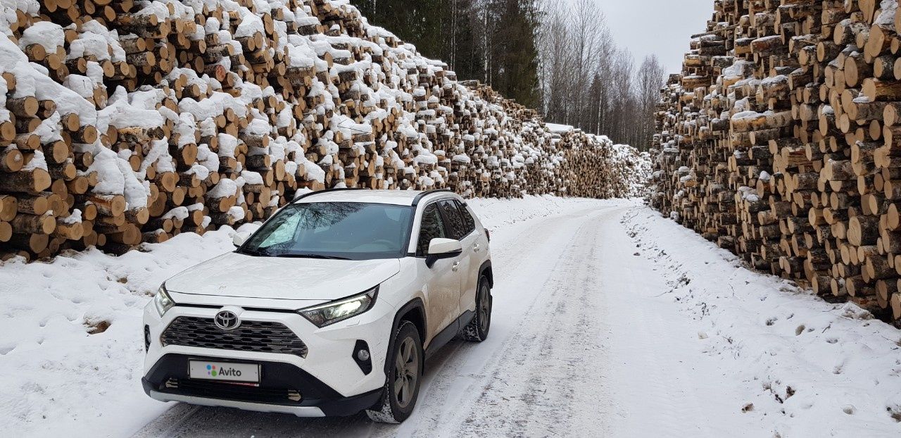 Toyota RAV4: фото владельца