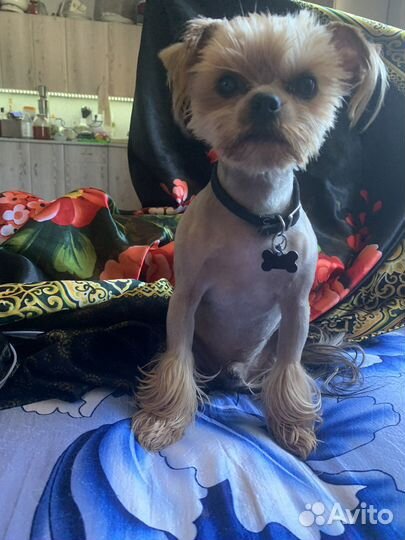 Милый мальчишка ждет свою принцесску