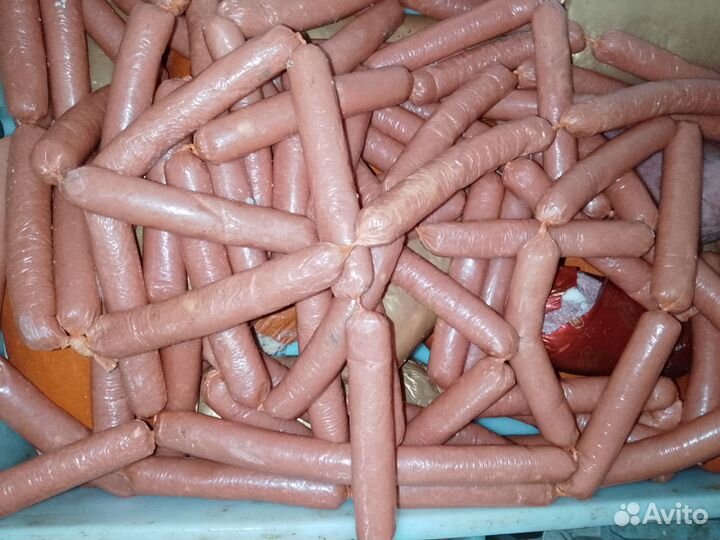 Корм для собак и кошек