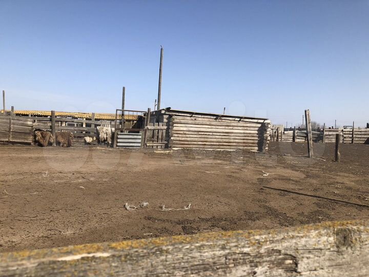 Участок 20 га (СНТ, ДНП)