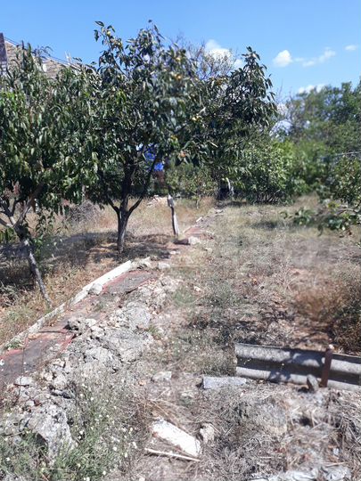 Участок 4,2 сот. (СНТ, ДНП)