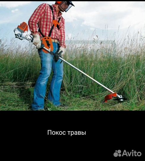 Сад благоустройство