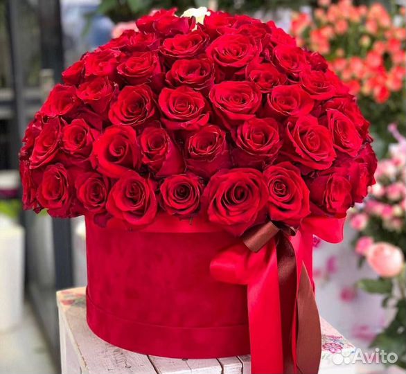 101 Роза цветы 201/101/51 Роза