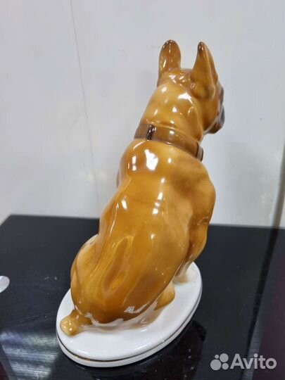 Статуэтка фарфоровая «Французский бульдог», лфз