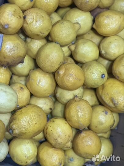 Овощи фрукты