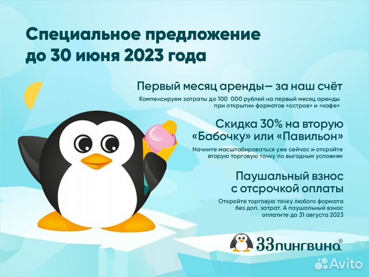 Всесезонная франшиза мороженое «33 пингвина»