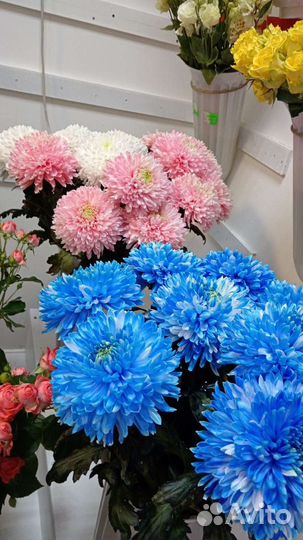 Цветы с доставкой