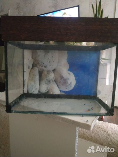 Аквариум