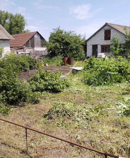 Дом 55,5 м² на участке 26 сот.