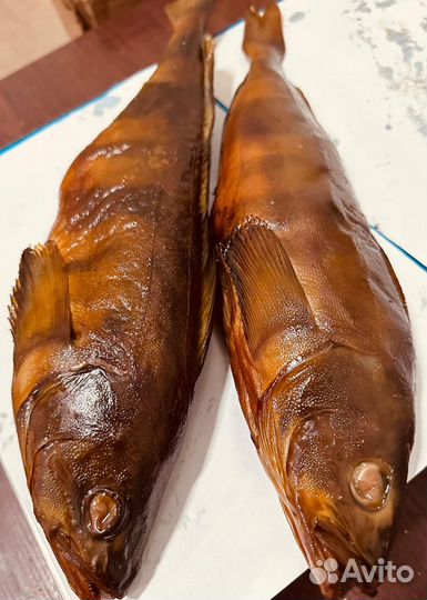 Терпуг горячего копчения очень вкусный