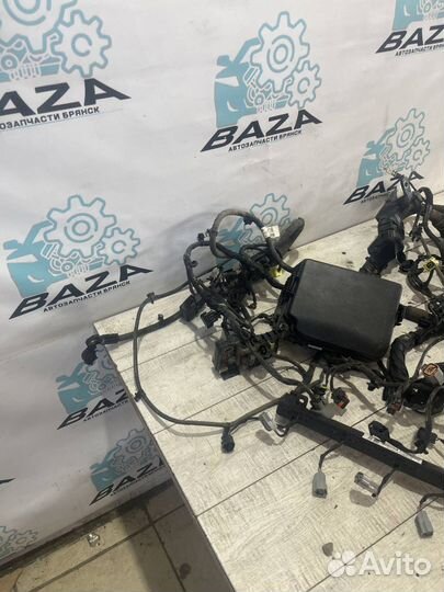 Проводка подкапотная (коса) Kia Cerato 3