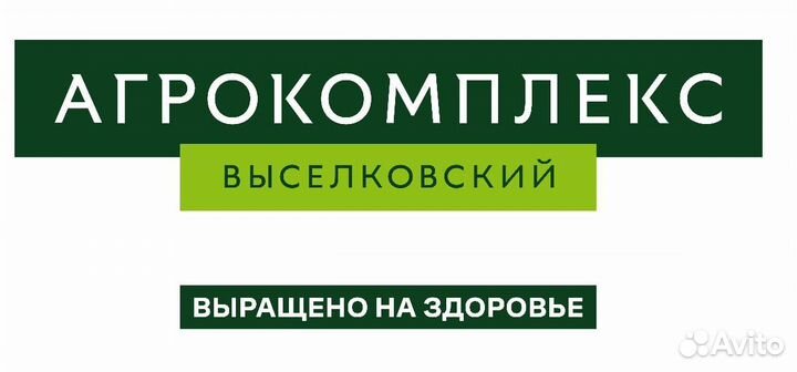 Бухгалтер по расчету заработной платы