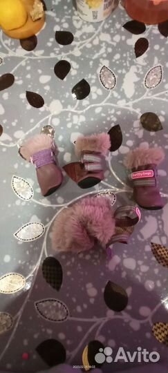 Ботинки для собак