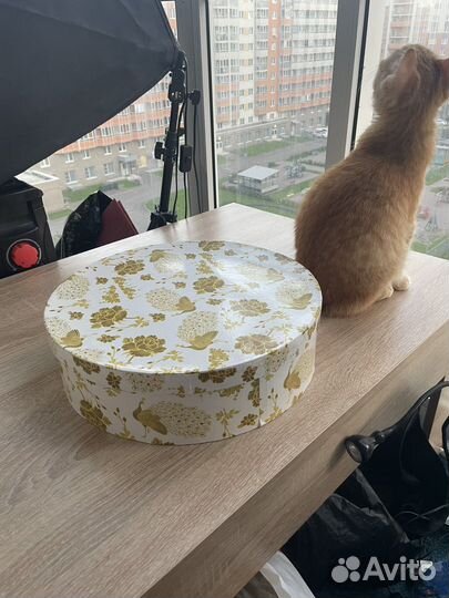 Чайный сервиз