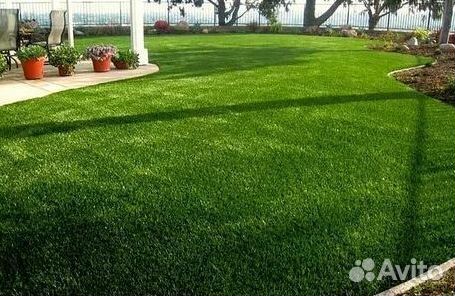 Укладка газона