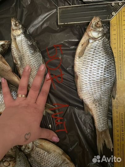 Сушеная рыба Сорога