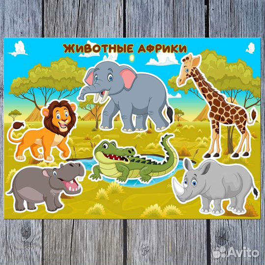 Развивающий альбом