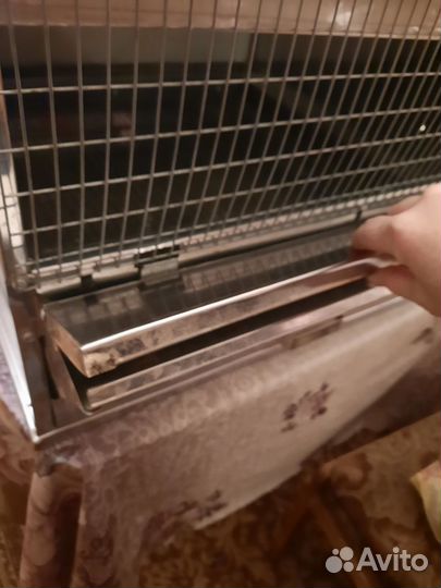 Брудер для выращивания цыплят