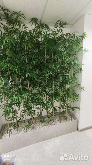Искусственный бамбук, деревья для интерьера