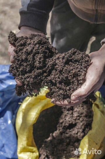 Купить универсальный грунт для рассады