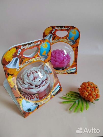 Цветы в куполе /колбе на 1сентября