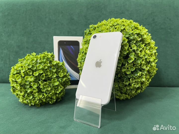 iPhone SE (2020), 128 ГБ