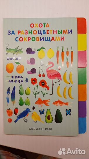 Охота за разноцветными сокровищами книга