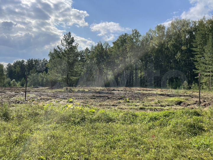 Участок 25 сот. (СНТ, ДНП)