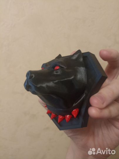 Питбуль на капот авто