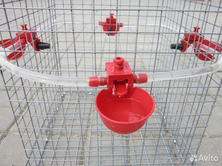 Автопоилка для кур (напольная)