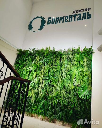 Стабилизированный мох