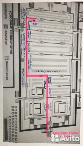 Глоксиния Сливовый ситец