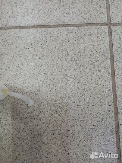 Пруток для ремонта бачка стеклоомывателя