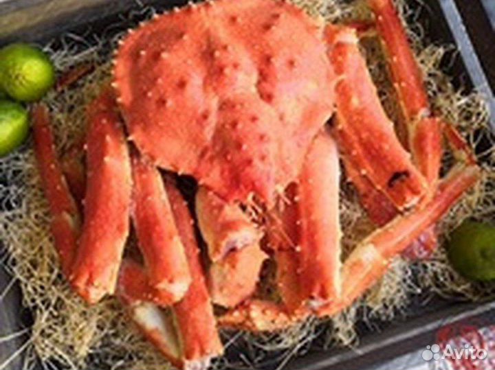 Доставка живых и варёных раков,Икра,краб,креветки