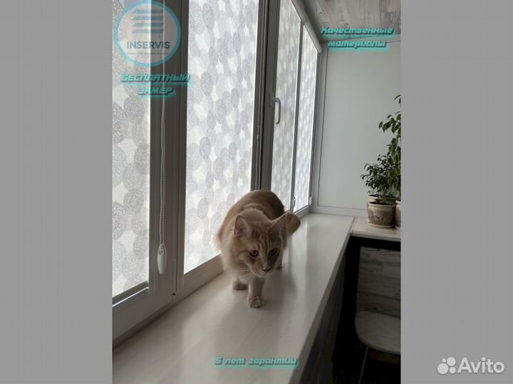 Рулонные шторы зебра