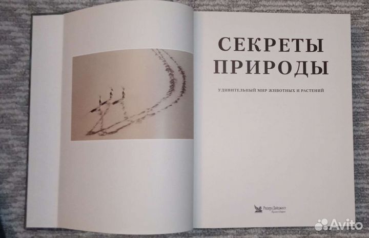 Энциклопедия 