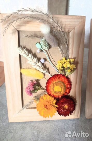 Гербарий сухоцветы в рамке, картина