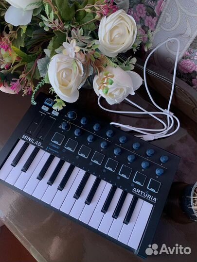 Миди клавиатура Arturia MiniLab mkII Black
