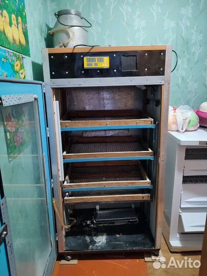 Инкубатор для яиц автоматический бу