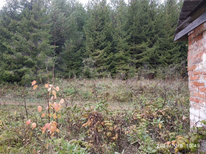 Участок 5,5 сот. (СНТ, ДНП)