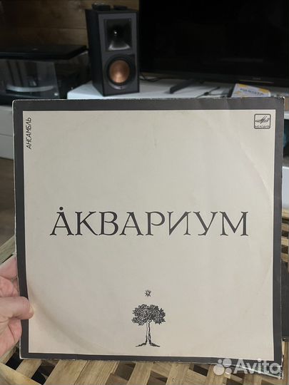 Винил Аквариум