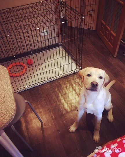 Клетка для собак