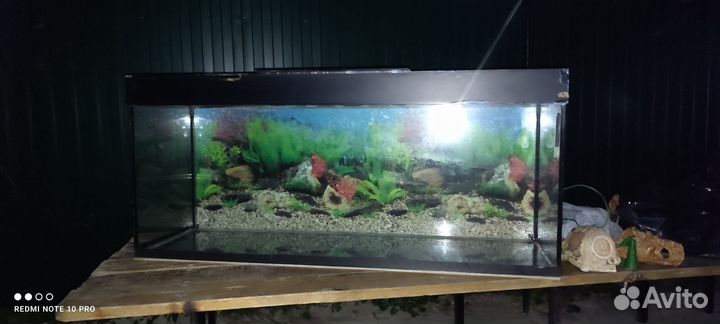 Аквариум