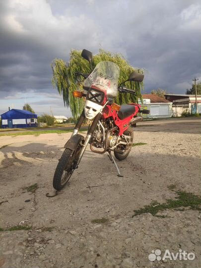 Зид 50 пилот