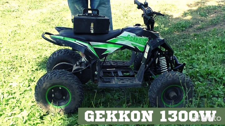 Детский квадроцикл Motax gekkon 1300W