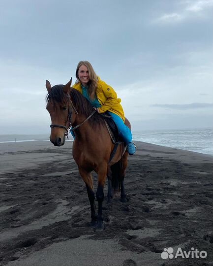 Конные прогулки