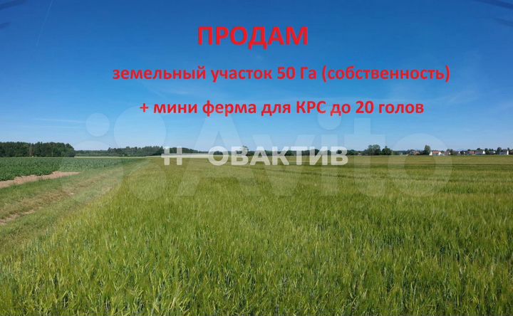 Участок 50 га (СНТ, ДНП)