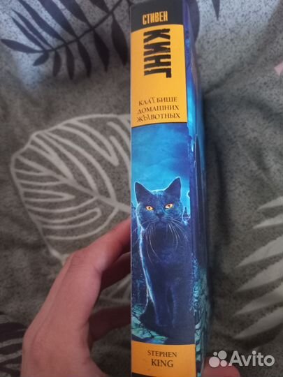 Стивен кинг 