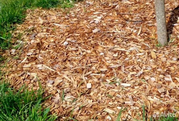 Декоративная щепа для мульчи